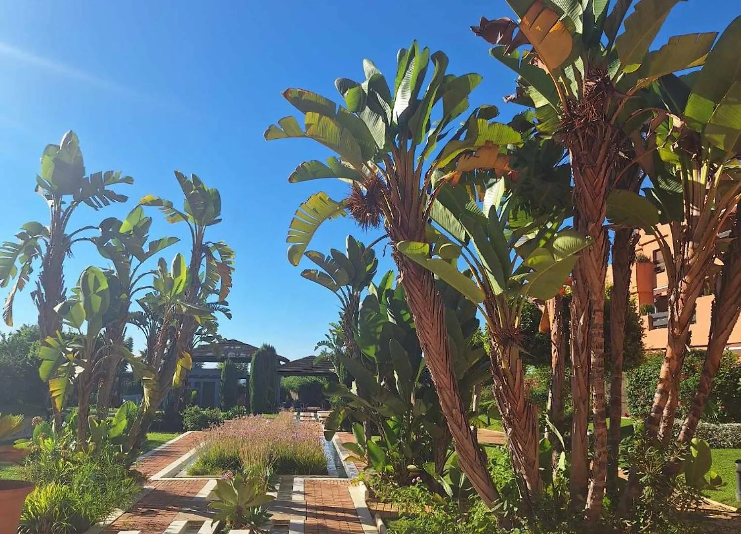 Coastal Gem Penthouse Daire Estepona